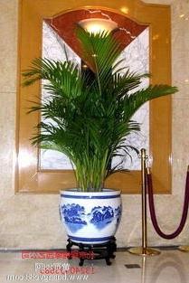 Haihong green plant quotation manufacturers