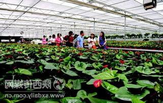 Leisure agriculture China Travel News Network