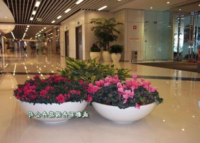 Shopping mall flower rental, shopping mall flower rental layout plan